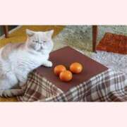 ヒメ日記 2026/01/09 09:36 投稿 はな 北九州人妻倶楽部（三十路、四十路、五十路）