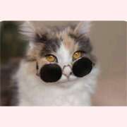 ヒメ日記 2026/01/13 10:11 投稿 はな 北九州人妻倶楽部（三十路、四十路、五十路）