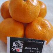 ヒメ日記 2026/01/19 09:34 投稿 はな 北九州人妻倶楽部（三十路、四十路、五十路）