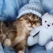 ヒメ日記 2026/01/22 00:04 投稿 はな 北九州人妻倶楽部（三十路、四十路、五十路）