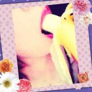 ヒメ日記 2026/01/22 17:08 投稿 はな 北九州人妻倶楽部（三十路、四十路、五十路）