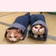 ヒメ日記 2026/01/23 09:37 投稿 はな 北九州人妻倶楽部（三十路、四十路、五十路）