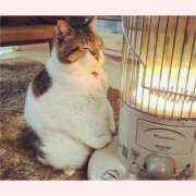 ヒメ日記 2026/01/24 09:37 投稿 はな 北九州人妻倶楽部（三十路、四十路、五十路）