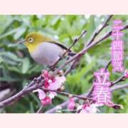 ヒメ日記 2026/02/04 10:03 投稿 はな 北九州人妻倶楽部（三十路、四十路、五十路）