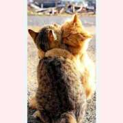 ヒメ日記 2026/02/10 07:49 投稿 はな 北九州人妻倶楽部（三十路、四十路、五十路）