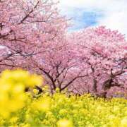 ヒメ日記 2026/02/21 09:39 投稿 はな 北九州人妻倶楽部（三十路、四十路、五十路）