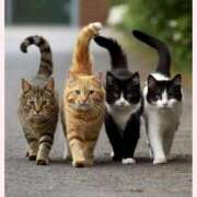 ヒメ日記 2026/02/22 07:51 投稿 はな 北九州人妻倶楽部（三十路、四十路、五十路）