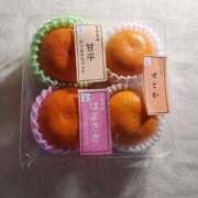 ヒメ日記 2026/02/24 09:32 投稿 はな 北九州人妻倶楽部（三十路、四十路、五十路）