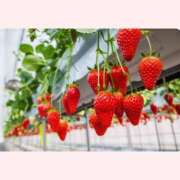 ヒメ日記 2026/02/25 09:37 投稿 はな 北九州人妻倶楽部（三十路、四十路、五十路）