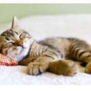 ヒメ日記 2026/02/28 00:06 投稿 はな 北九州人妻倶楽部（三十路、四十路、五十路）