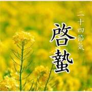 ヒメ日記 2026/03/05 07:56 投稿 はな 北九州人妻倶楽部（三十路、四十路、五十路）