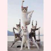 ヒメ日記 2026/04/02 10:05 投稿 はな 北九州人妻倶楽部（三十路、四十路、五十路）