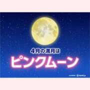 ヒメ日記 2026/04/02 18:10 投稿 はな 北九州人妻倶楽部（三十路、四十路、五十路）