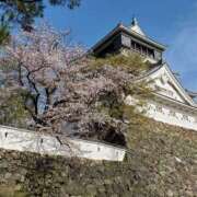 ヒメ日記 2026/04/03 13:36 投稿 はな 北九州人妻倶楽部（三十路、四十路、五十路）