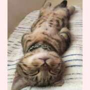 ヒメ日記 2026/04/11 00:09 投稿 はな 北九州人妻倶楽部（三十路、四十路、五十路）