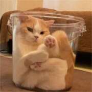 ヒメ日記 2026/04/14 07:53 投稿 はな 北九州人妻倶楽部（三十路、四十路、五十路）