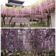 ヒメ日記 2026/04/21 10:15 投稿 はな 北九州人妻倶楽部（三十路、四十路、五十路）