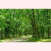 ヒメ日記 2026/05/04 08:08 投稿 はな 北九州人妻倶楽部（三十路、四十路、五十路）