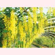 ヒメ日記 2026/05/06 08:12 投稿 はな 北九州人妻倶楽部（三十路、四十路、五十路）