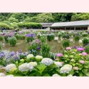 ヒメ日記 2026/06/03 09:33 投稿 はな 北九州人妻倶楽部（三十路、四十路、五十路）