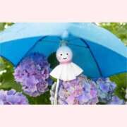 ヒメ日記 2026/07/01 10:05 投稿 はな 北九州人妻倶楽部（三十路、四十路、五十路）