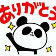 ヒメ日記 2026/08/06 03:08 投稿 はな 北九州人妻倶楽部（三十路、四十路、五十路）