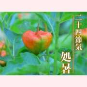 ヒメ日記 2026/08/23 07:48 投稿 はな 北九州人妻倶楽部（三十路、四十路、五十路）