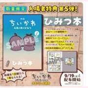 ヒメ日記 2026/09/19 12:09 投稿 はな 北九州人妻倶楽部（三十路、四十路、五十路）