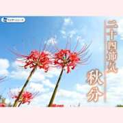 ヒメ日記 2026/09/23 10:06 投稿 はな 北九州人妻倶楽部（三十路、四十路、五十路）