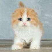 ヒメ日記 2025/06/17 12:50 投稿 なつめ 即トク奥さん