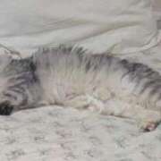 ヒメ日記 2025/08/06 12:26 投稿 なつめ 即トク奥さん