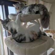 ヒメ日記 2026/02/20 15:50 投稿 なつめ 即トク奥さん