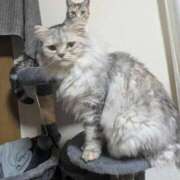 ヒメ日記 2026/02/22 11:10 投稿 なつめ 即トク奥さん