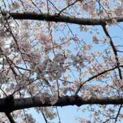 ヒメ日記 2026/04/03 20:30 投稿 りん 逆バニーメンズエステ とろとろオイルSPA