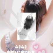 ヒメ日記 2026/02/01 17:39 投稿 村瀬 新宿人妻城