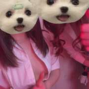 ヒメ日記 2026/04/28 23:29 投稿 ななお banana