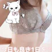 ヒメ日記 2025/07/20 11:13 投稿 大石 しずか こあくまな熟女たち 本厚木店(KOAKUMAグループ)