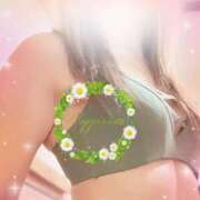 ヒメ日記 2025/07/24 16:51 投稿 大石 しずか こあくまな熟女たち 本厚木店(KOAKUMAグループ)