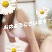 ヒメ日記 2025/07/27 07:28 投稿 大石 しずか こあくまな熟女たち 本厚木店(KOAKUMAグループ)