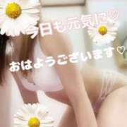 ヒメ日記 2025/08/11 09:52 投稿 大石 しずか こあくまな熟女たち 本厚木店(KOAKUMAグループ)