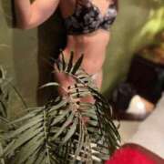 ヒメ日記 2025/12/02 08:22 投稿 大石 しずか こあくまな熟女たち 本厚木店(KOAKUMAグループ)