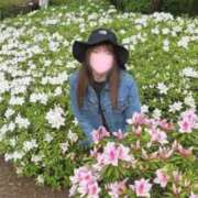 ヒメ日記 2026/04/20 09:37 投稿 大石 しずか こあくまな熟女たち 本厚木店(KOAKUMAグループ)