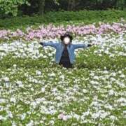 ヒメ日記 2026/04/26 13:34 投稿 大石 しずか こあくまな熟女たち 本厚木店(KOAKUMAグループ)