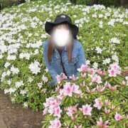 ヒメ日記 2026/04/29 09:23 投稿 大石 しずか こあくまな熟女たち 本厚木店(KOAKUMAグループ)