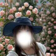 ヒメ日記 2026/06/02 10:10 投稿 大石 しずか こあくまな熟女たち 本厚木店(KOAKUMAグループ)