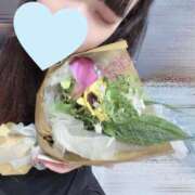 ヒメ日記 2025/06/28 20:22 投稿 かると 香川サンキュー