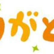 ヒメ日記 2025/12/08 16:40 投稿 かんな 丸妻 厚木店