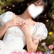 ヒメ日記 2026/01/24 13:46 投稿 りの スピードエコ梅田店