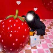 ヒメ日記 2026/01/24 15:18 投稿 りの スピードエコ梅田店