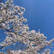 ヒメ日記 2026/04/05 09:06 投稿 りの スピードエコ梅田店